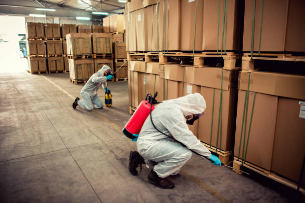 Best Cockroach Control Services  in Perryville, MD