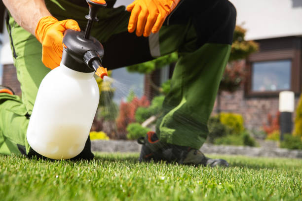 Best Pest Prevention Services  in Perryville, MD