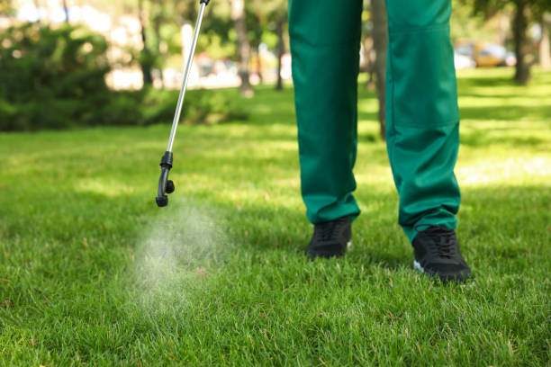 Best Affordable Pest Control Services  in Perryville, MD