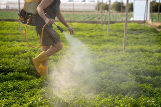 Professional Pest Control in Perryville, MD