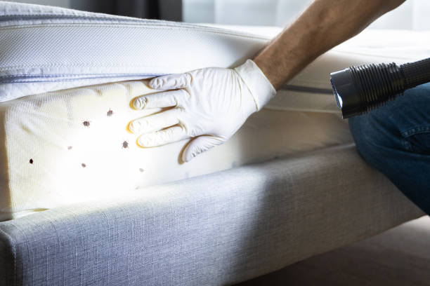 Best Exterminator Services  in Perryville, MD
