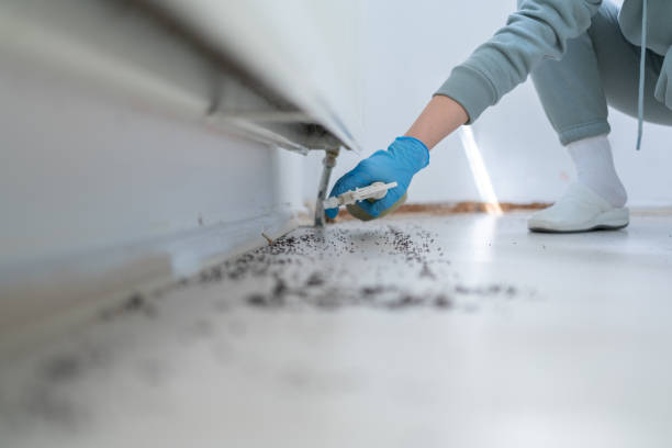 Best Wildlife Control Services  in Perryville, MD